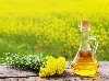 Сад, Огород объявление но. 9690: Sunflower, rapeseed, soy, coconut, palm oil on FOB, CIF delivery terms